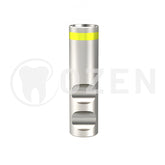 Analogue compatible with Straumann Bone-Level